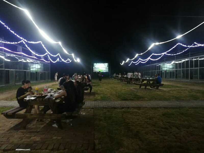 邯郸这个消夏广场火了，世界杯猜对输赢免酒水，猜对比分免单！