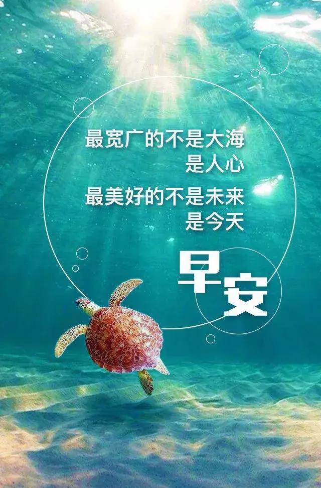 早安女人励志正能量满满的句子,每日正能量语录早安配图