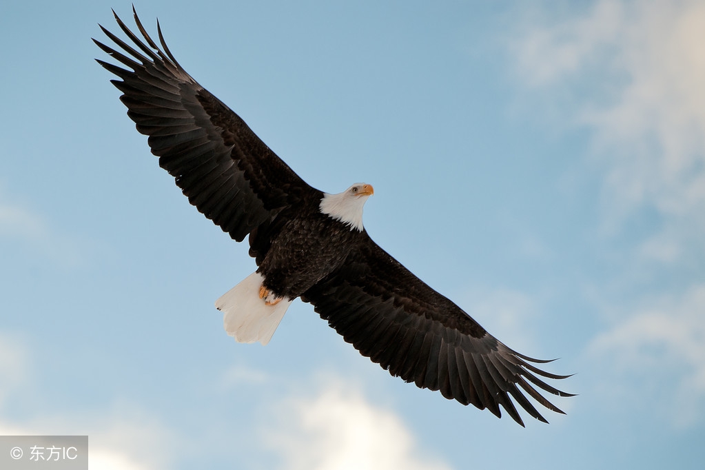 领导上任后需要做的三件事,新领导上任后最重要的三件事