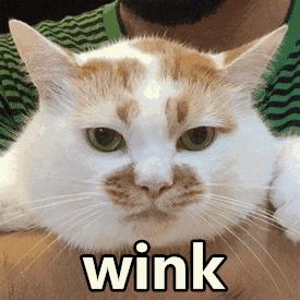 昌珉颜值巅峰,昌珉回归第一个舞台眼神杀