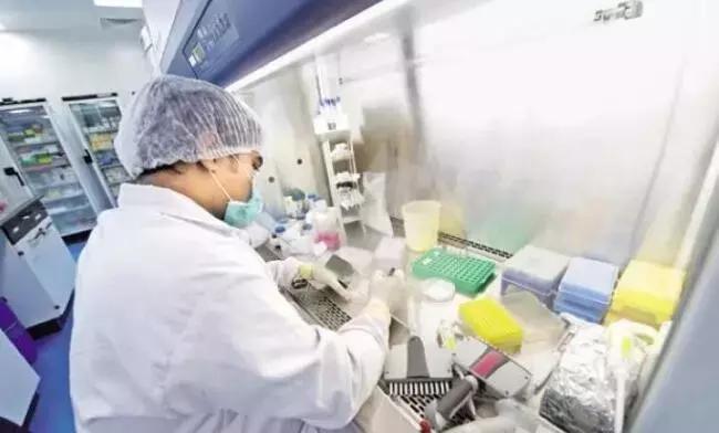 印度仿制药合法的原因,揭开印度仿制药的神秘面纱