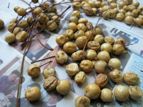 苦楝子手串怎么制作,苦楝子手串效果