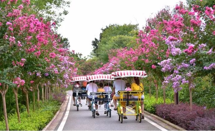 这里的紫薇和荷花美翻了！送你一个花样嘉年华，还有酷爽一夏！