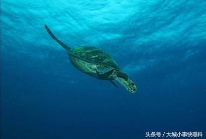 不想人挤人的地方,东南亚吃住玩一体海岛