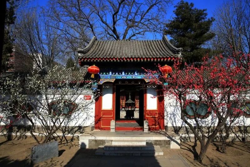 魔都这两个低调的区后来居上，将被全世界瞩目！