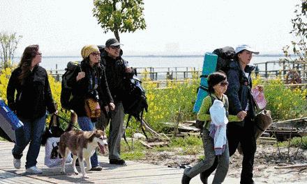 人人都说阳澄湖好，我却只想和你在这慢慢变老