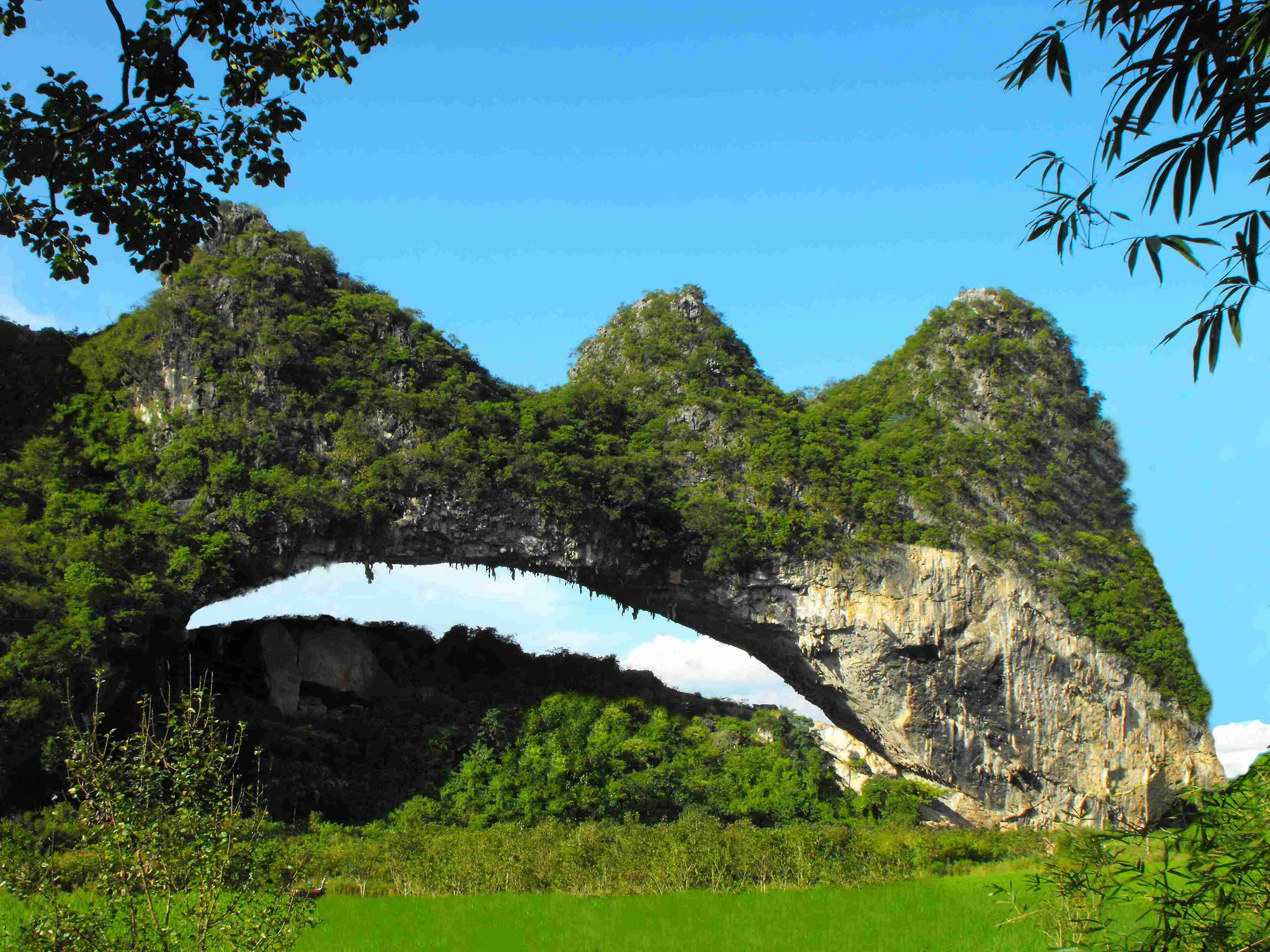 国学知识讲解四柱,国学命理知识大全书籍