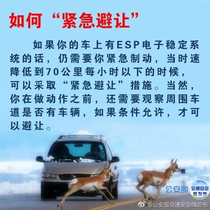 高速知识贴,高速撞死小动物怎么化解