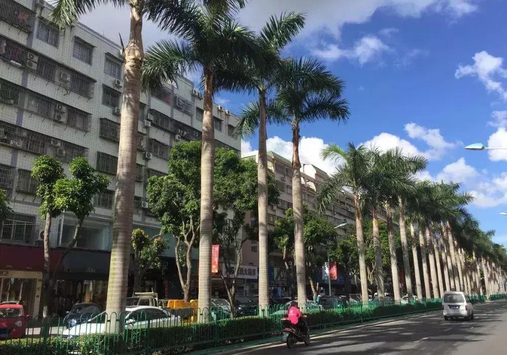 7月上海云南往返机票,上海飞各地5月便宜的飞机票