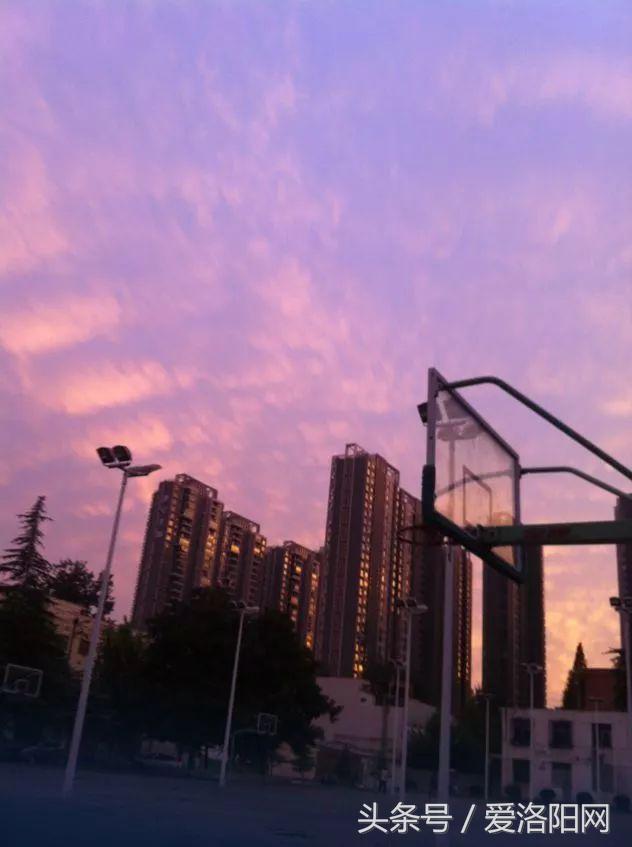 再见再见渡边淳一小说简介,再见原作