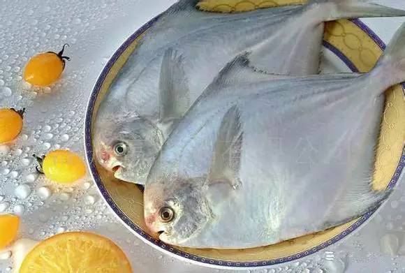 日照有什么好玩的地方,日照金山