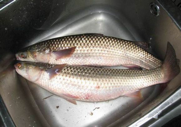 日照有什么好玩的地方,日照金山