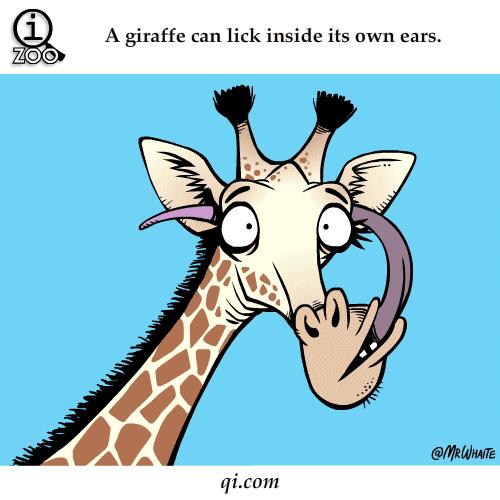 呼和浩特5月9日天气预报,呼和浩特天气穿衣指南7月