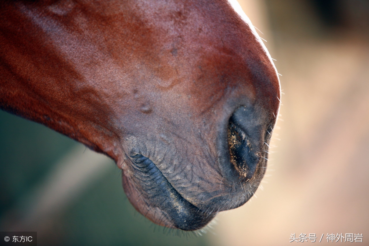 外伤伤口愈合后没知觉,外伤后一直淤血不消怎么办