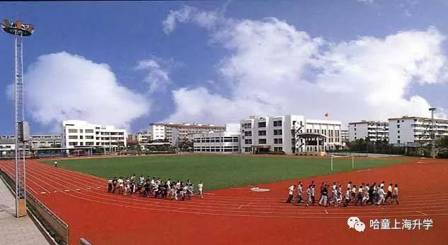 复附、交附、世外、建平“家族谱”大全，谁才是佼佼者？