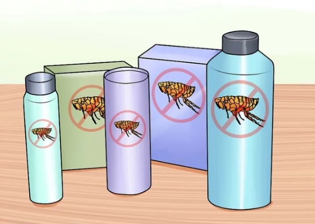 猫体内外驱虫滴剂示范,猫体内外驱虫多少钱