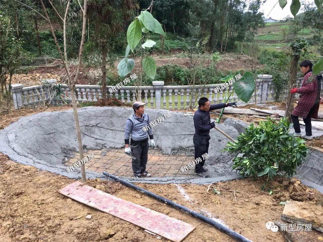 没有过滤器鱼池水发绿怎么解决,农村鱼池怎么保持水清澈