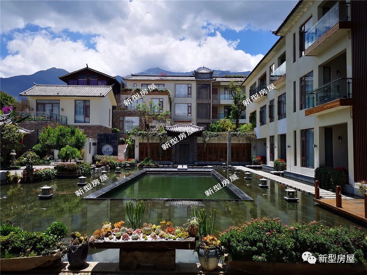 没有过滤器鱼池水发绿怎么解决,农村鱼池怎么保持水清澈