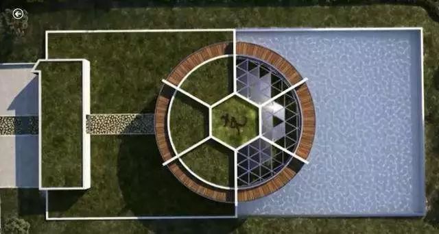 世界上最壮的足球明星,最厉害的足球明星是谁