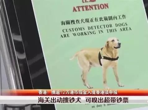 去香港超过7天怎么处罚,在香港超过7天会怎样处罚