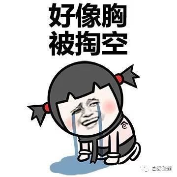 日本茶道文化深度解析,日本茶道有多美