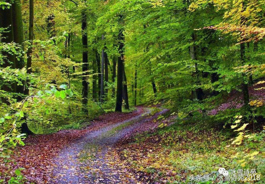 「诗家风采」杜先刚｜归乡偶记