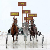 糖尿病蜜月期结束的预兆是什么呢,糖尿病蜜月期是什么意思