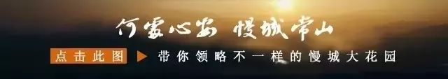 常山2020年招聘信息,常山信息港最新招聘