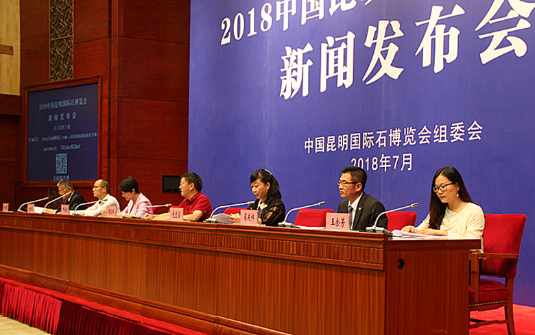 昆明石博会观赏石,昆明奇石博览会什么时候开始