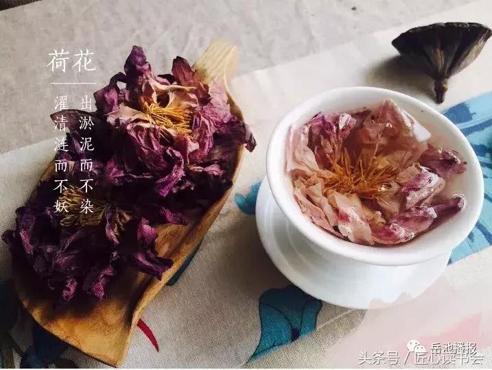 荷花节广安,岳池白庙荷花基地