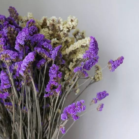 勿忘我花束制作方法超简单,自制勿忘我花束包装教程