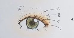 各种眼型眼影矫正,骨灰级眼影