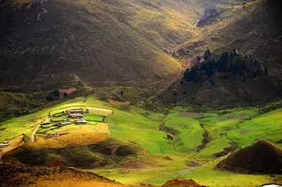 激动中国,激动中国的视频