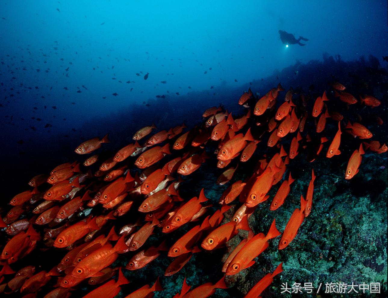 泰国普吉岛十大潜水景点介绍,泰国普吉十大潜水景点排名第一名