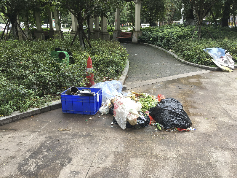 一声叹息！西外国际新城往昔美丽如公园今朝“新城”变“农场”