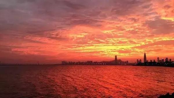 我叫深圳，这是我的个人简历，请查看！