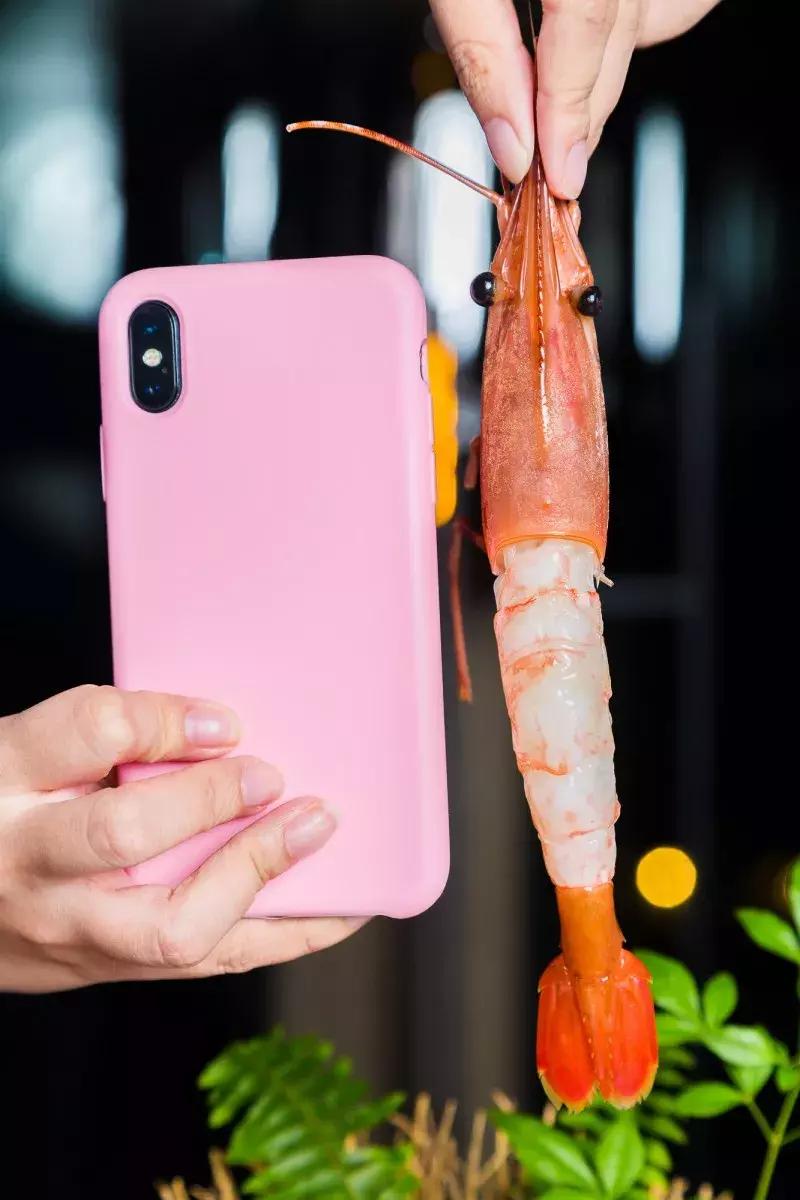 澶栨哗璞崕閰掑惂,澶栨哗701閰掑惂