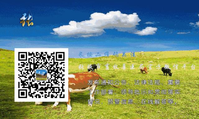 三农热线养羊技巧,12316三农热线