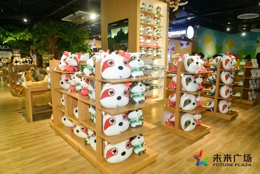 澶嶅崕鏈潵骞垮満,闈掑矝澶嶅崕鏈潵骞垮満