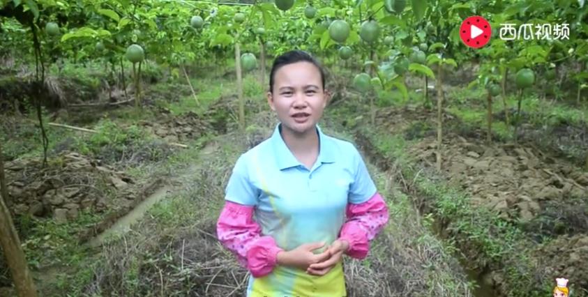 网红电商生意怎么做好的,农村的网红电商有哪些项目