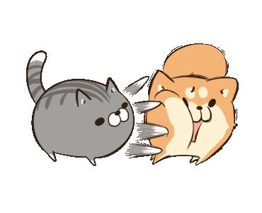 芦苇微微和一笑奈何第一次见面,芦苇微微和一笑奈何在哪里看