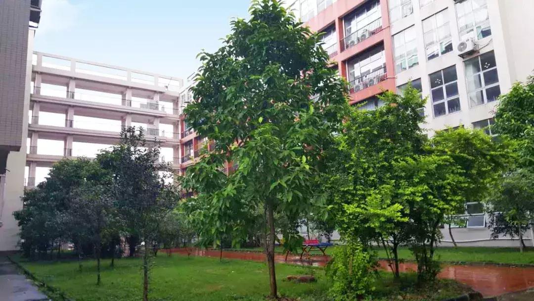 广东省技工教育招生院校名单,广东高级技工学校在哪