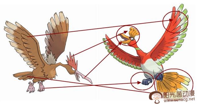 最新宠物小精灵进化过程全图,宠物小精灵中有普通动物吗