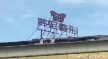 一女子因整容失败,一名女子整容失败