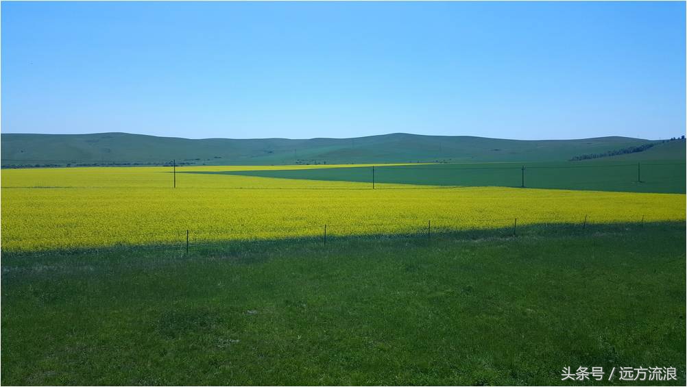 金帐汗蒙古部落景区简介,海拉尔金帐汗蒙古部落好玩吗