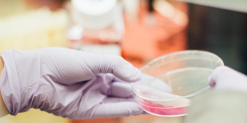 重疾险对白血病的理赔条件,白血病最终赔付