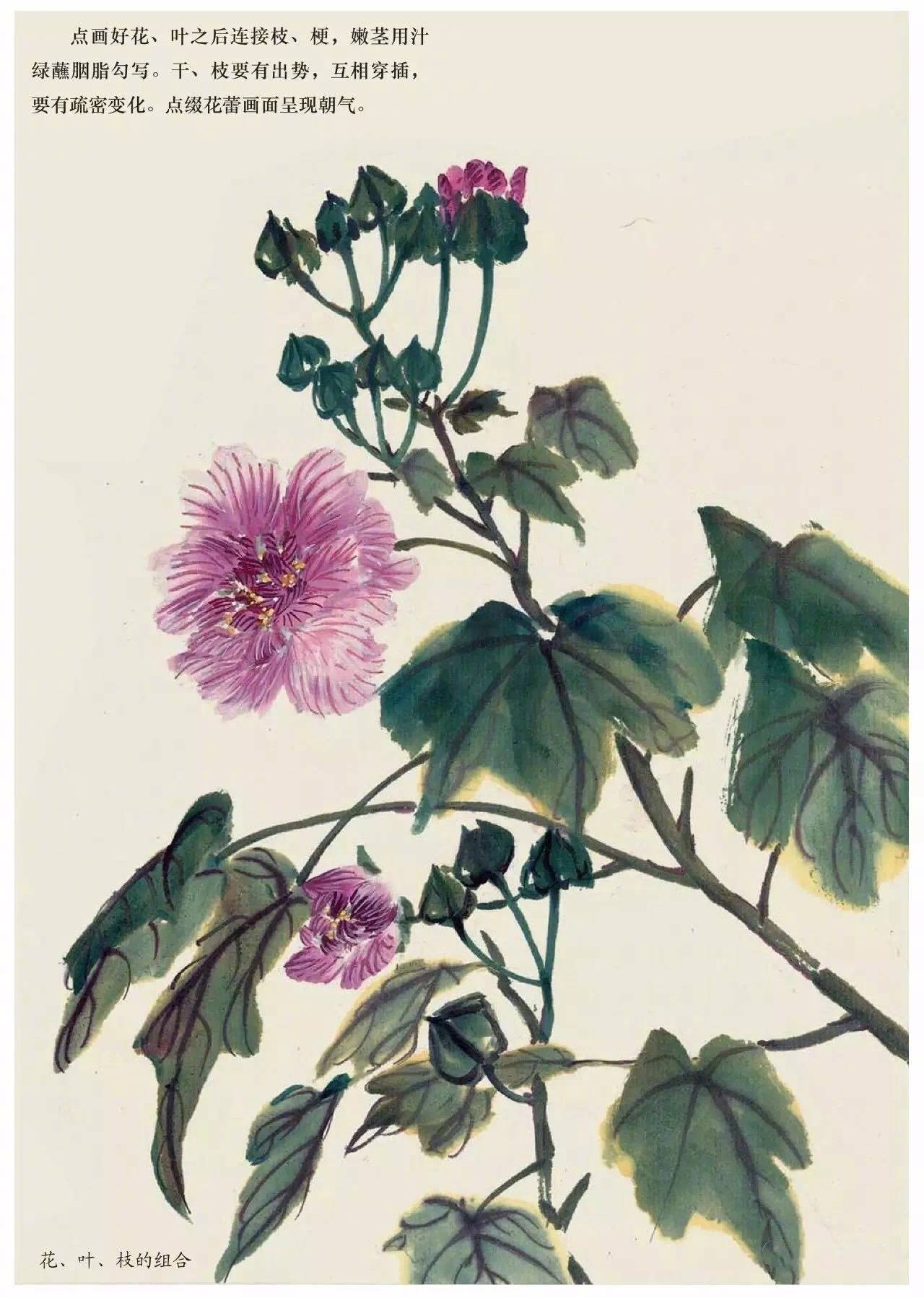 国画中的植物花卉小雏菊怎么画,国画花卉小品图片大全大图