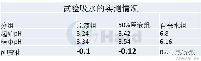 靠吃蚕豆吃出超高鱼价，这条鱼古法养殖名震全国