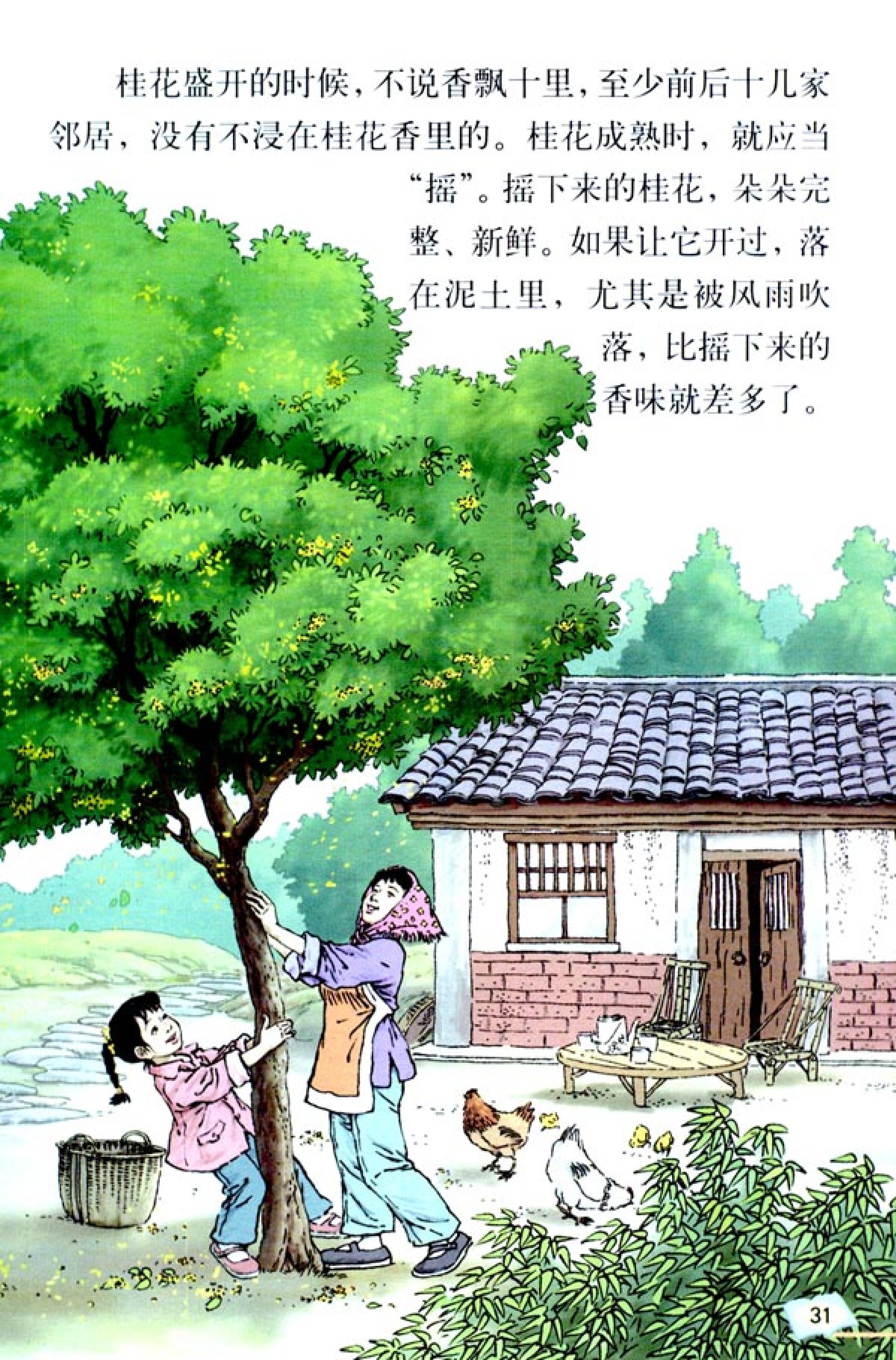 五年级上册语文课本电子版第21课,2021年人教版五年级上册语文课本