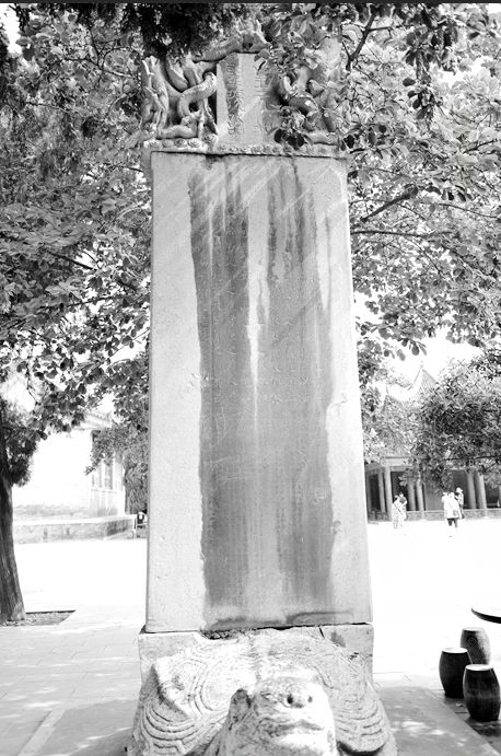 碑林怎么读,碑林的读音